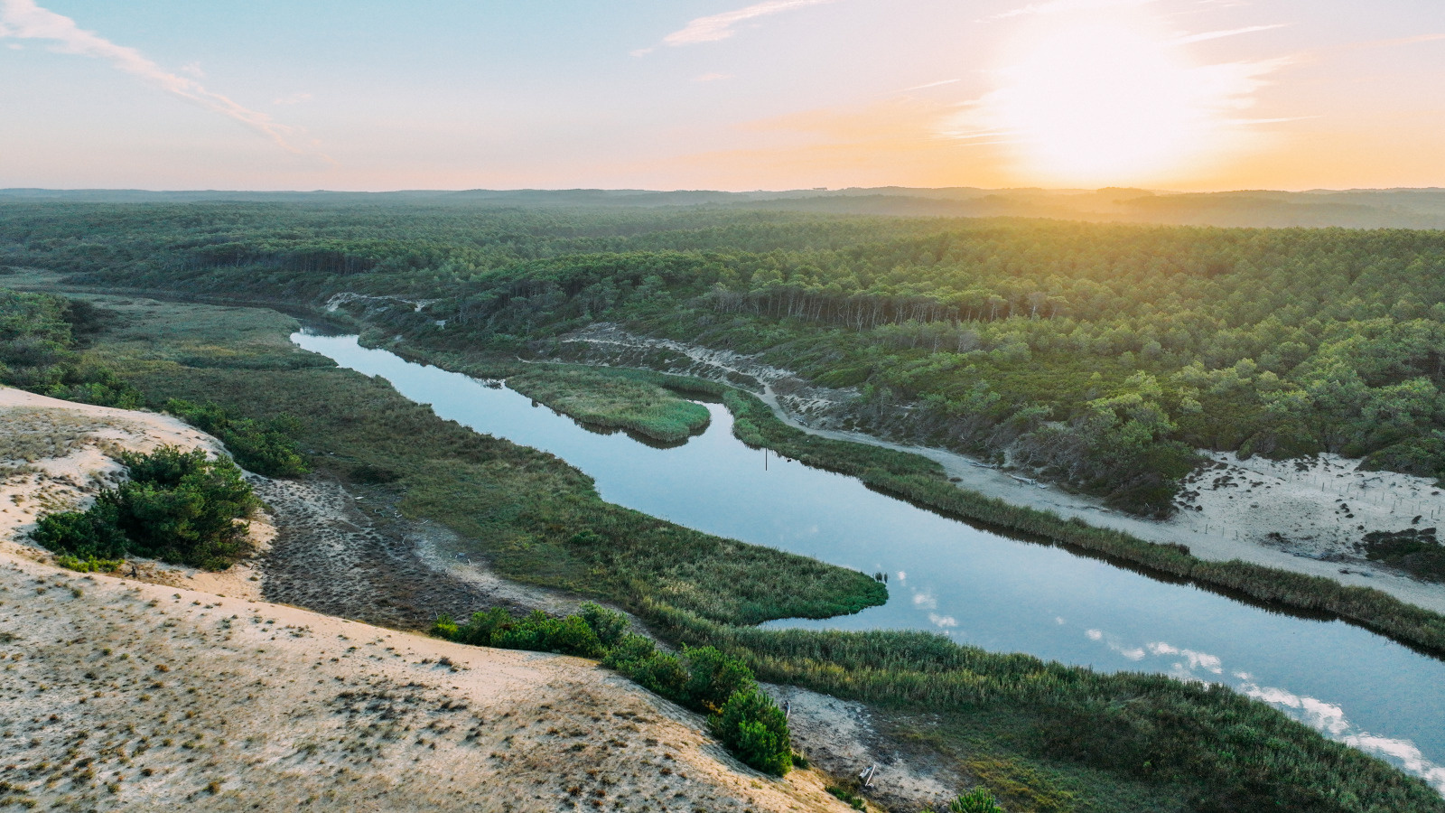 Rivière_et_forêt.jpg