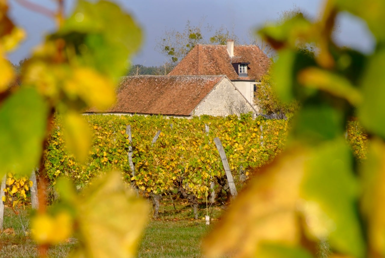 Domaine de la Renne